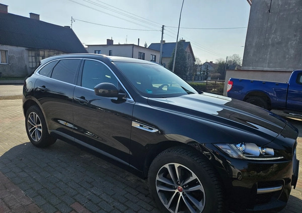 Jaguar F-Pace cena 109900 przebieg: 112000, rok produkcji 2017 z Szamocin małe 254